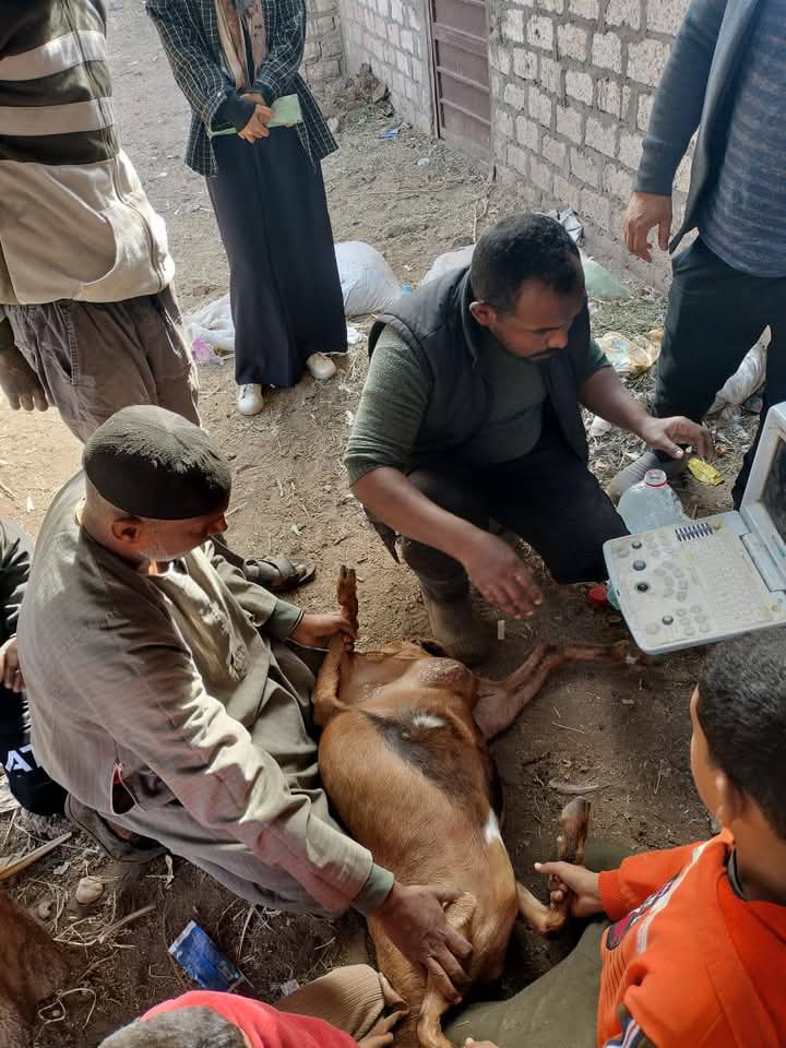 فحص باستخدام السونار فحص باستخدام السونار
