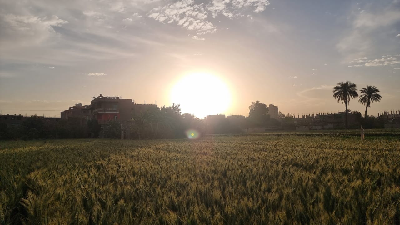  شروق شمس اليوم الجمعة (5)