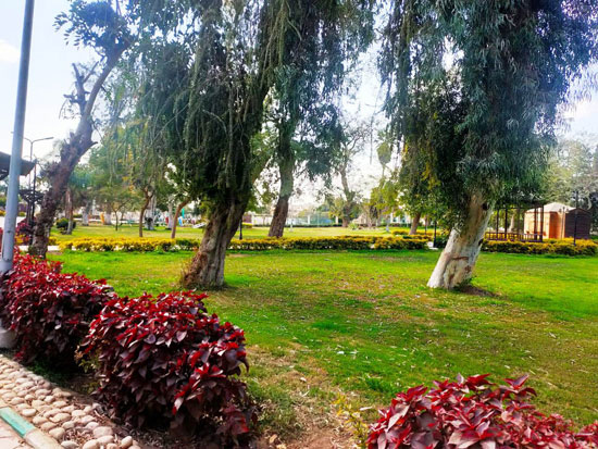 حدائق-القناطر-الخيرية-(9)