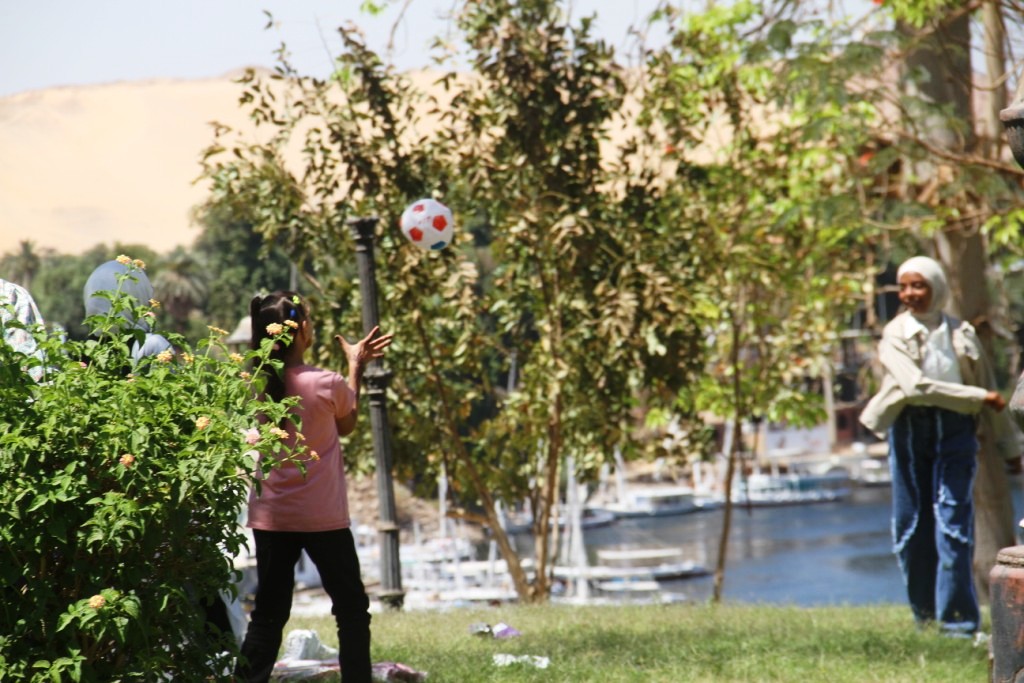 داخل الحديقة