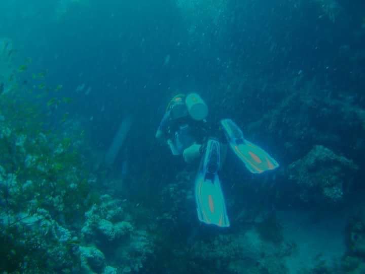 يصل اليه المحترفين فقط يصل اليه المحترفين فقط