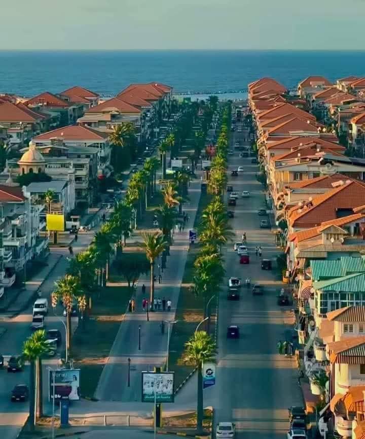 عشش رأس البر عشش رأس البر