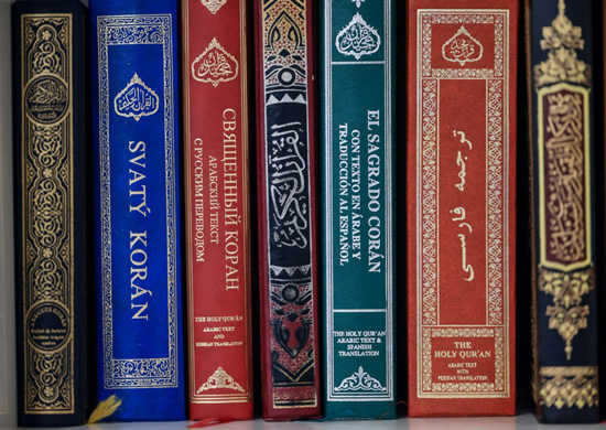 مساجد برلين تستقبل ضيوف الرحمن (7)