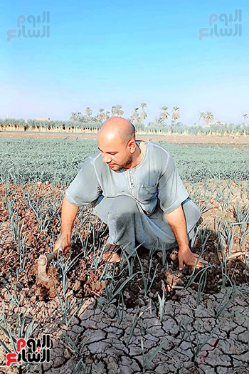الدكتور خلف الله خالاف عسران (2)