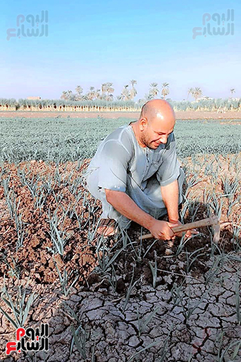 الدكتور خلف الله خالاف عسران (1)