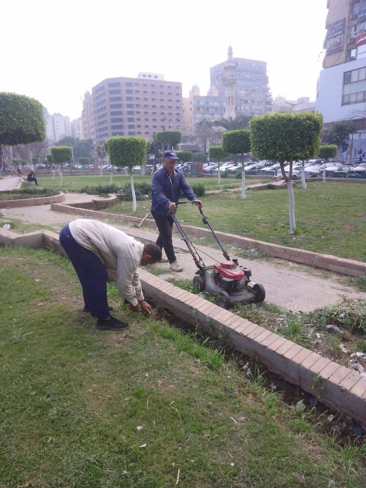 صيانة المسطحات الخضراء  بميدان مصطفى محمود