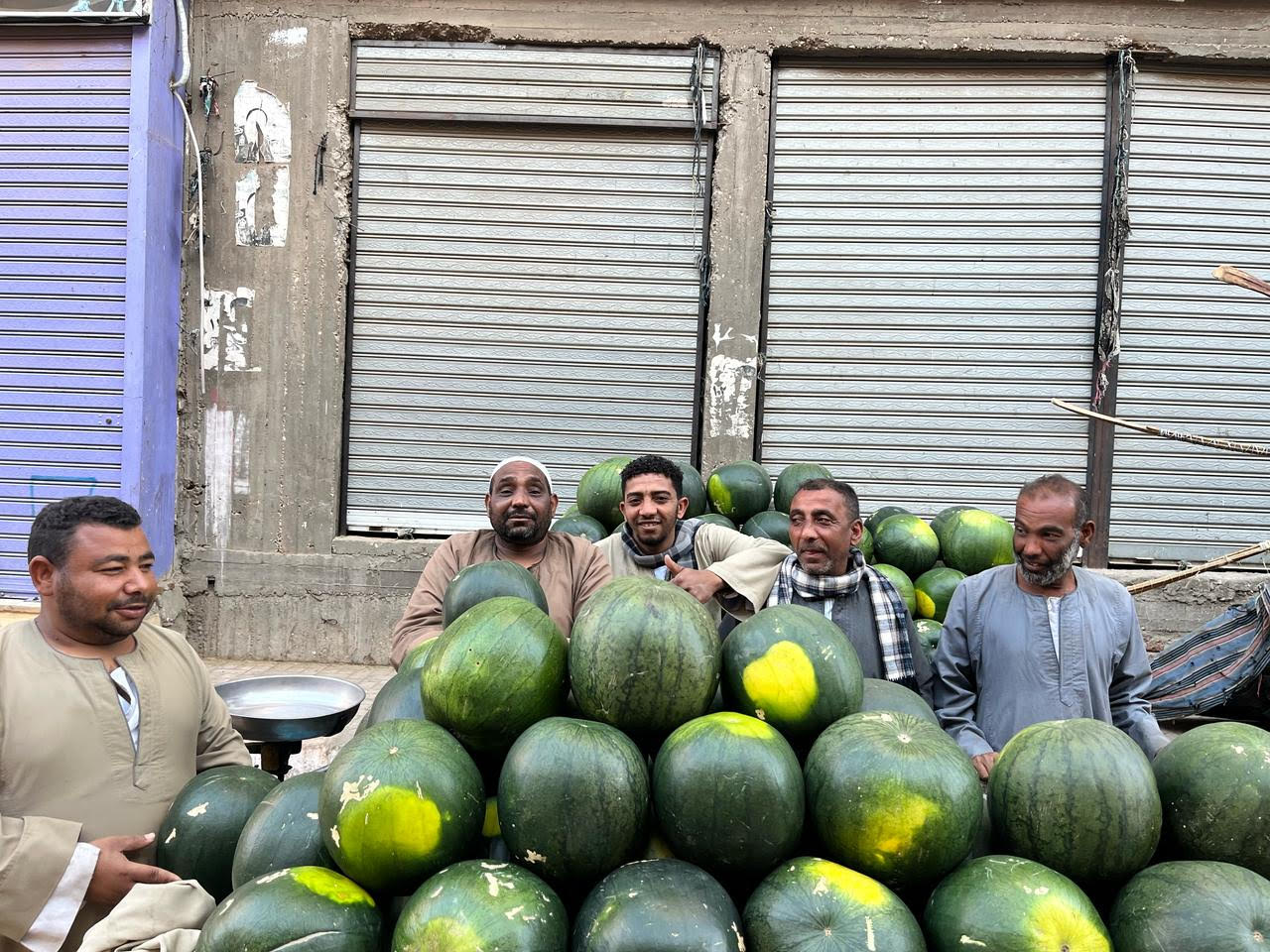 البطيخ فى قنا البطيخ فى قنا