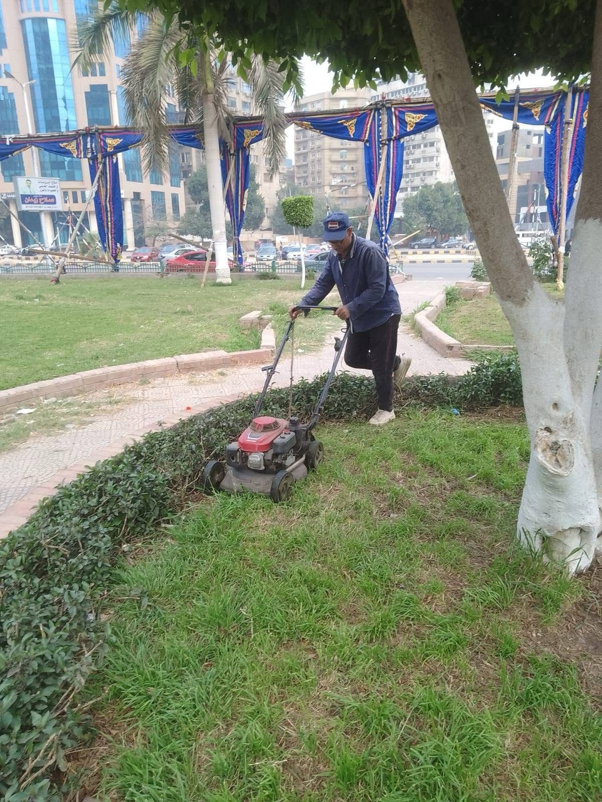 صيانة المسطحات الخضراء ورفع كفاءة الأرصفة بميدان مصطفى محمود