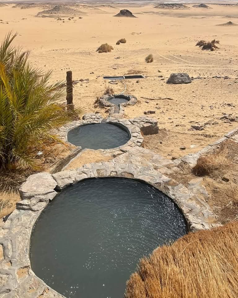 عين السرو المسحورة عين السرو المسحورة