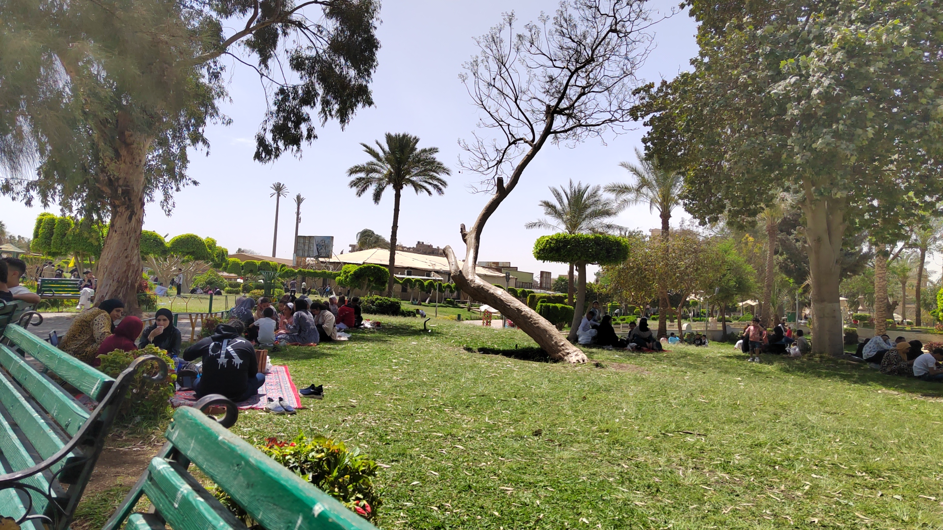جانب من الاحتفالات جانب من الاحتفالات