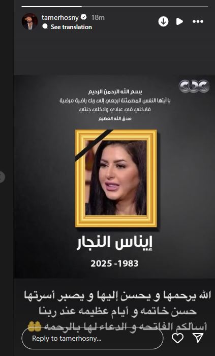 تامر حسنى