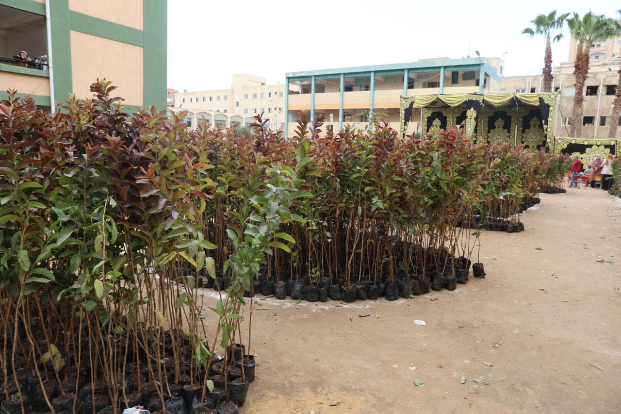 جانب من مبادرة تدشين الاشجار