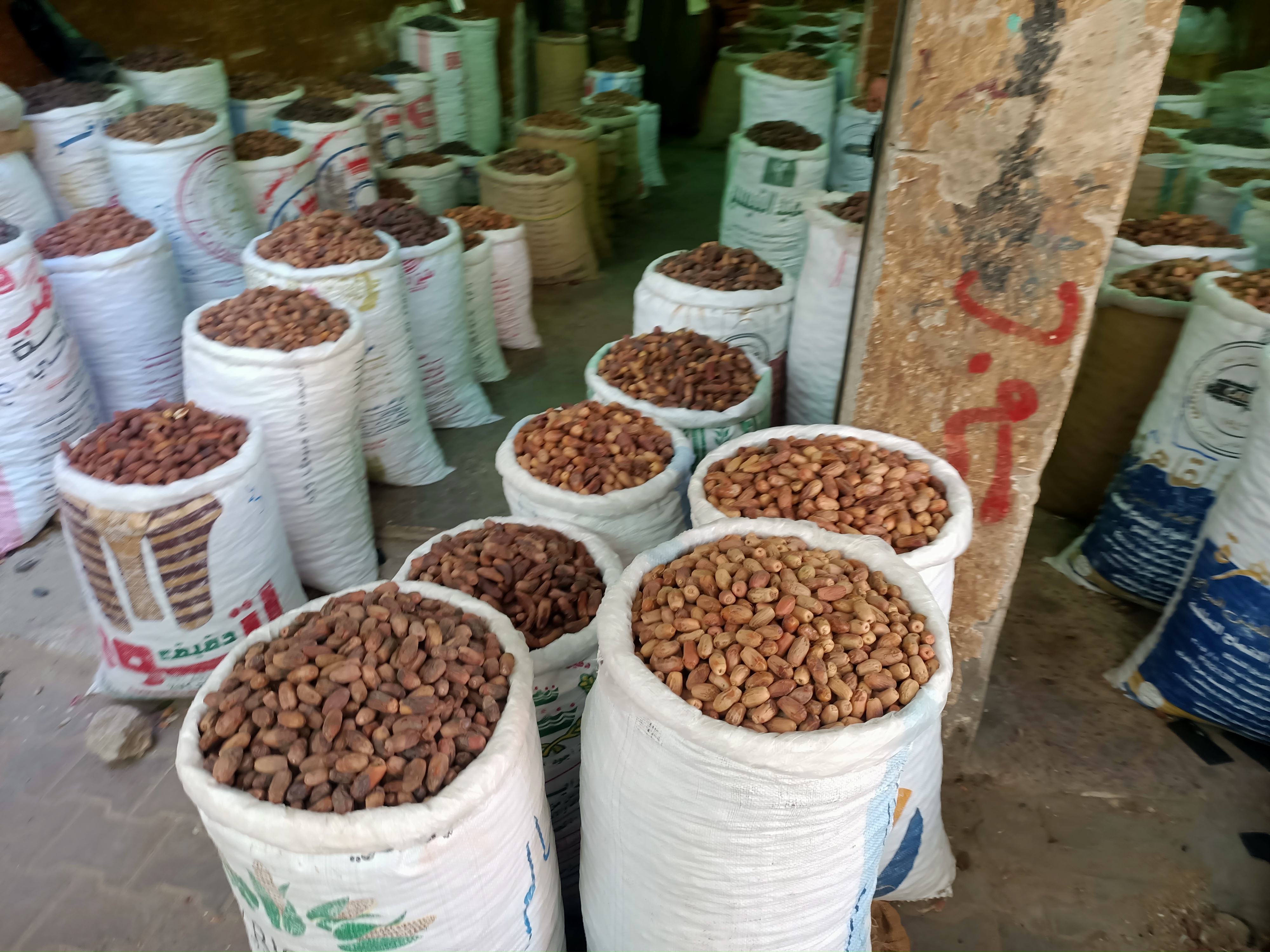 البلح البلح