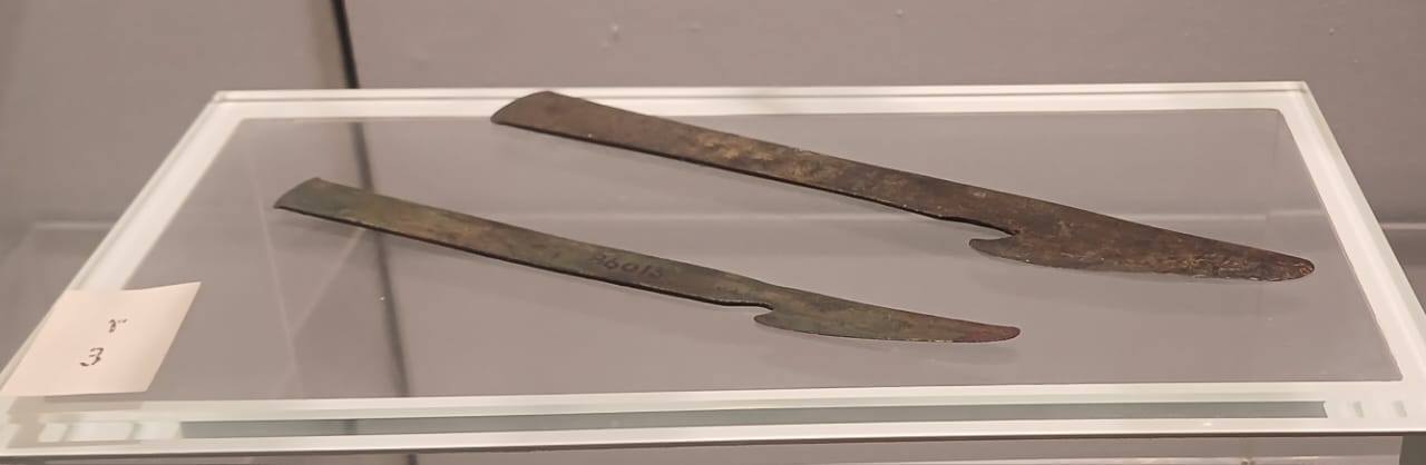 أدوات أطباء عملية التحنيط قطعة شهر مارس بمتحف التحنيط