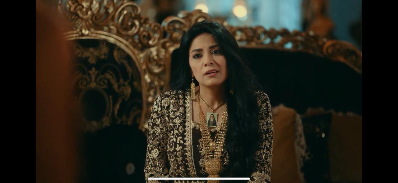 مسلسل حكيم باشا (2)