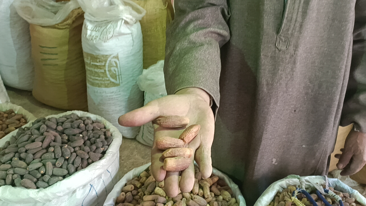 انواع البلح انواع البلح