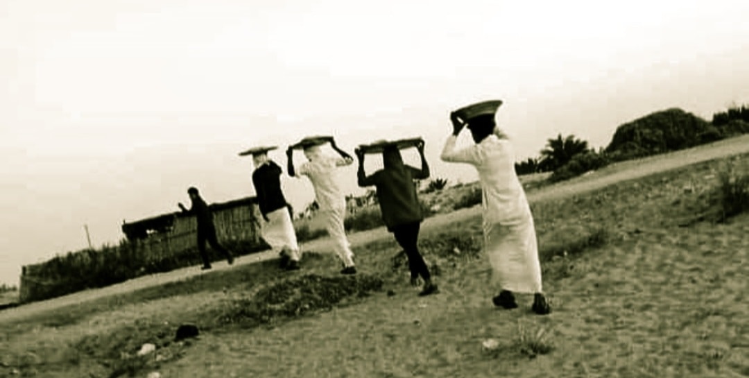 نقل طعام الافطار