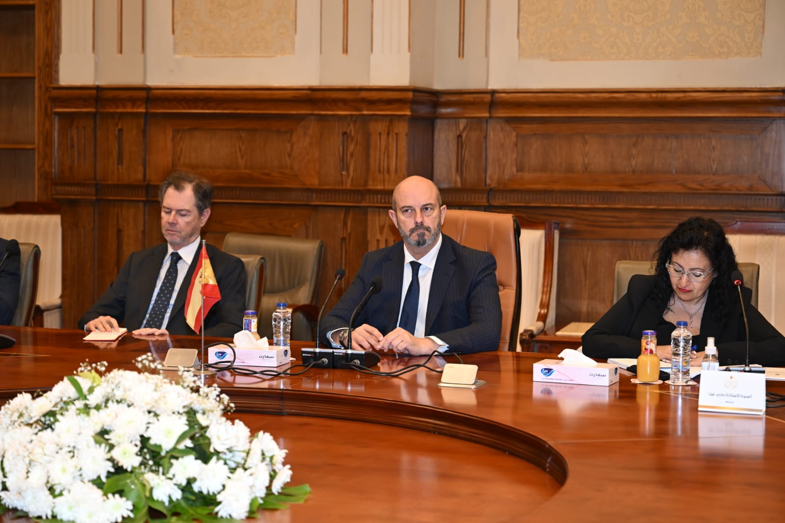 رئيس مجلس الشيوخ الإسباني