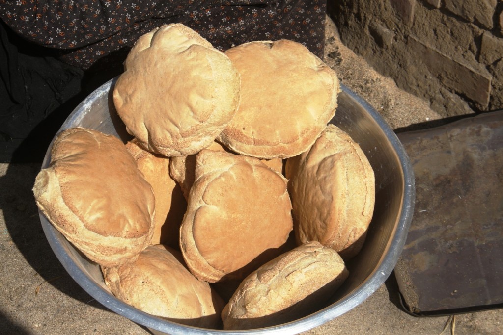 العيش الشمسى_1