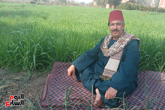 الشبكى