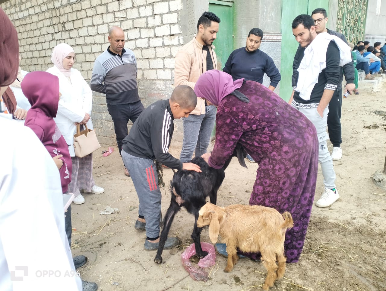 جامعة دمنهور تواصل تقديم خدماتها المجتمعية (1)