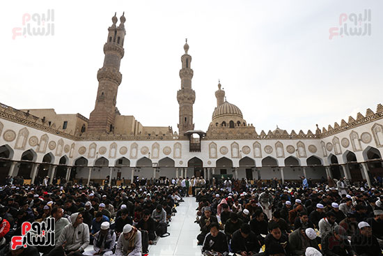إفطار لاأزهر (15)