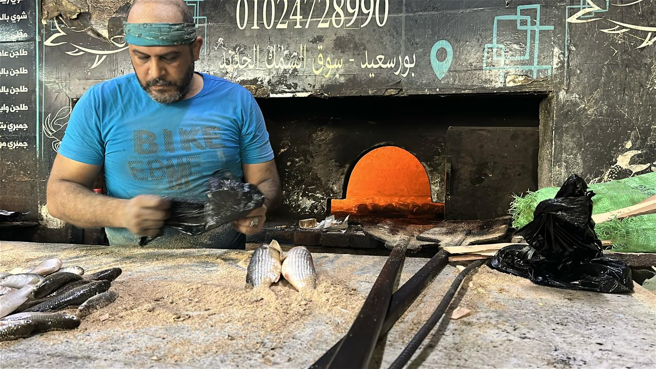 سوى الأسماك ببورسعيد