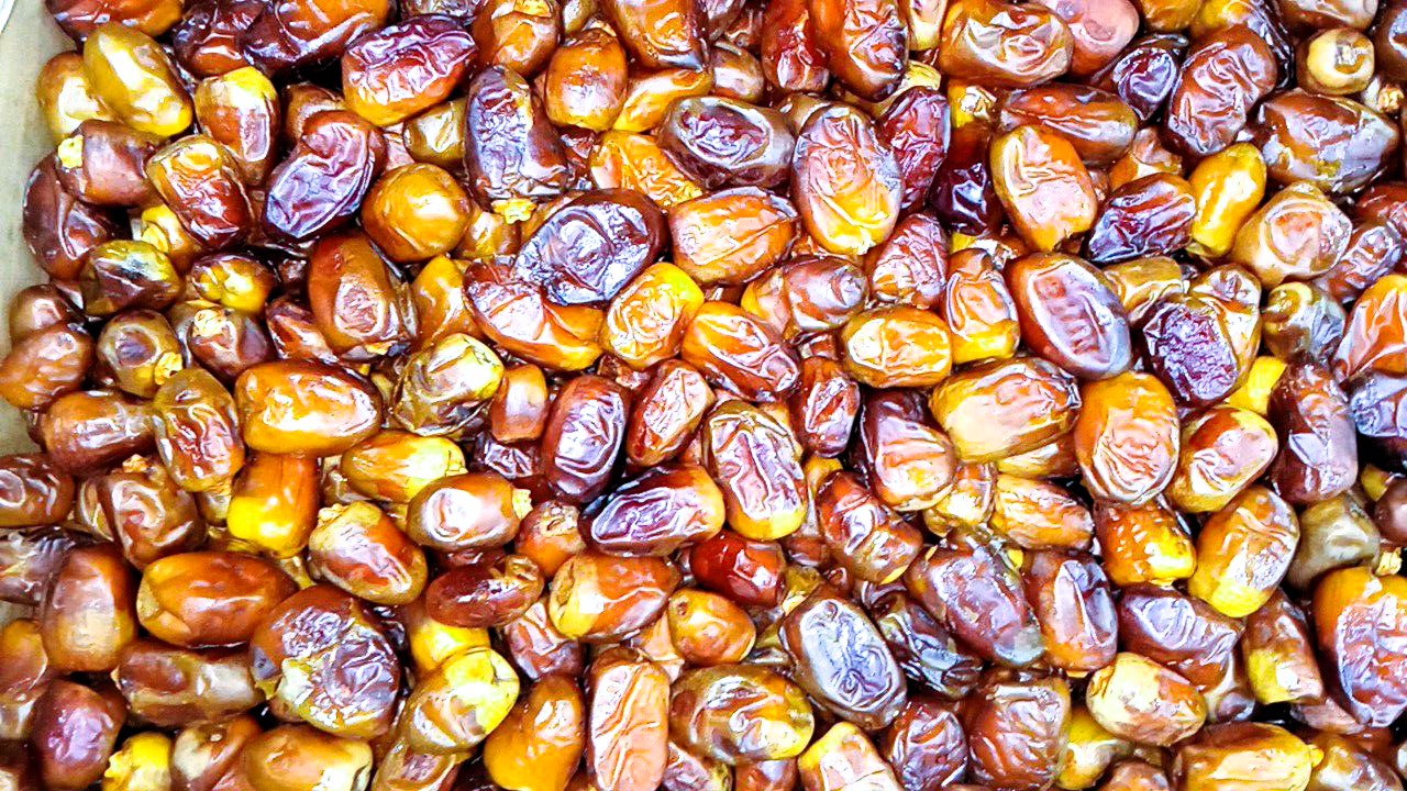 سيوة تنتج اشهر انواع البلح سيوة تنتج اشهر انواع البلح