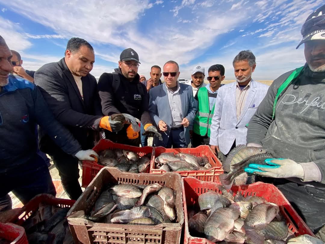 طرح كيلو بلطى مفيض باريس ب25 جنيه