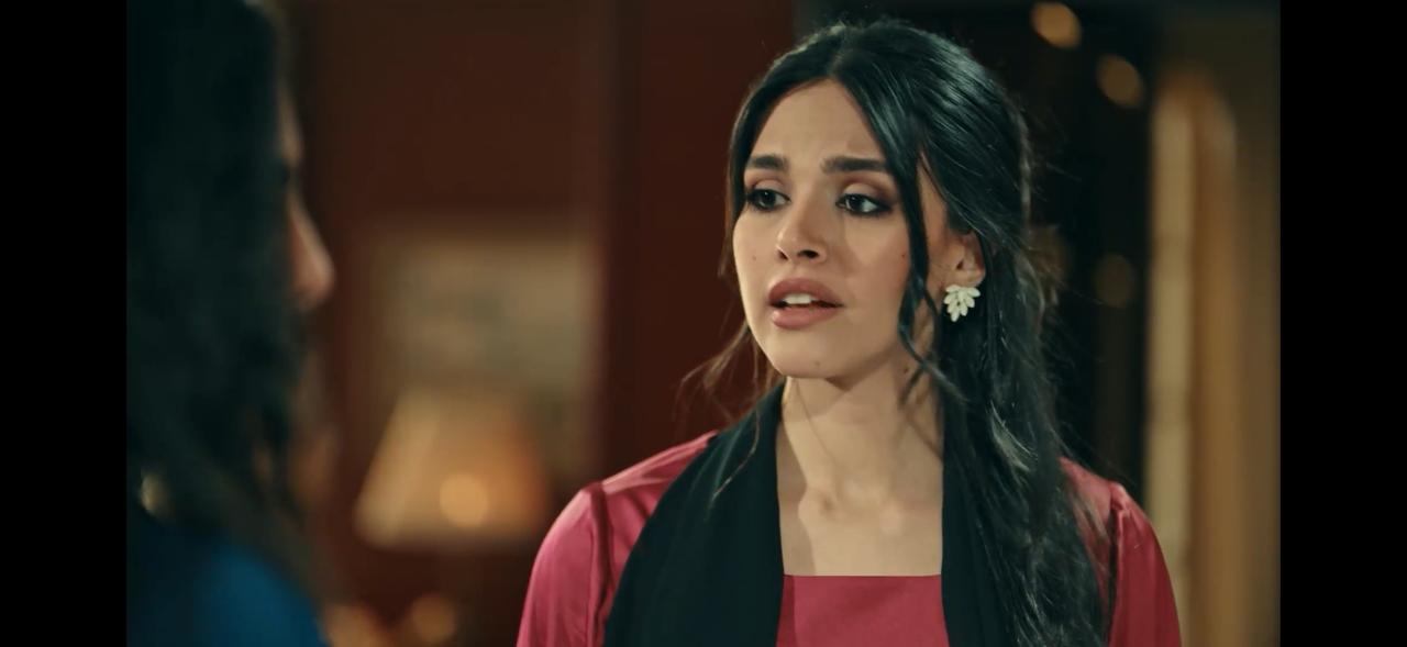 مسلسل حكيم باشا  (4)