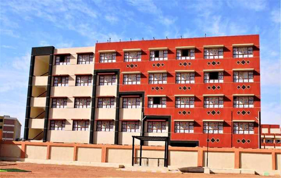 المبادرة-الرئاسية-لتطوير-الريف-المصري-(2)