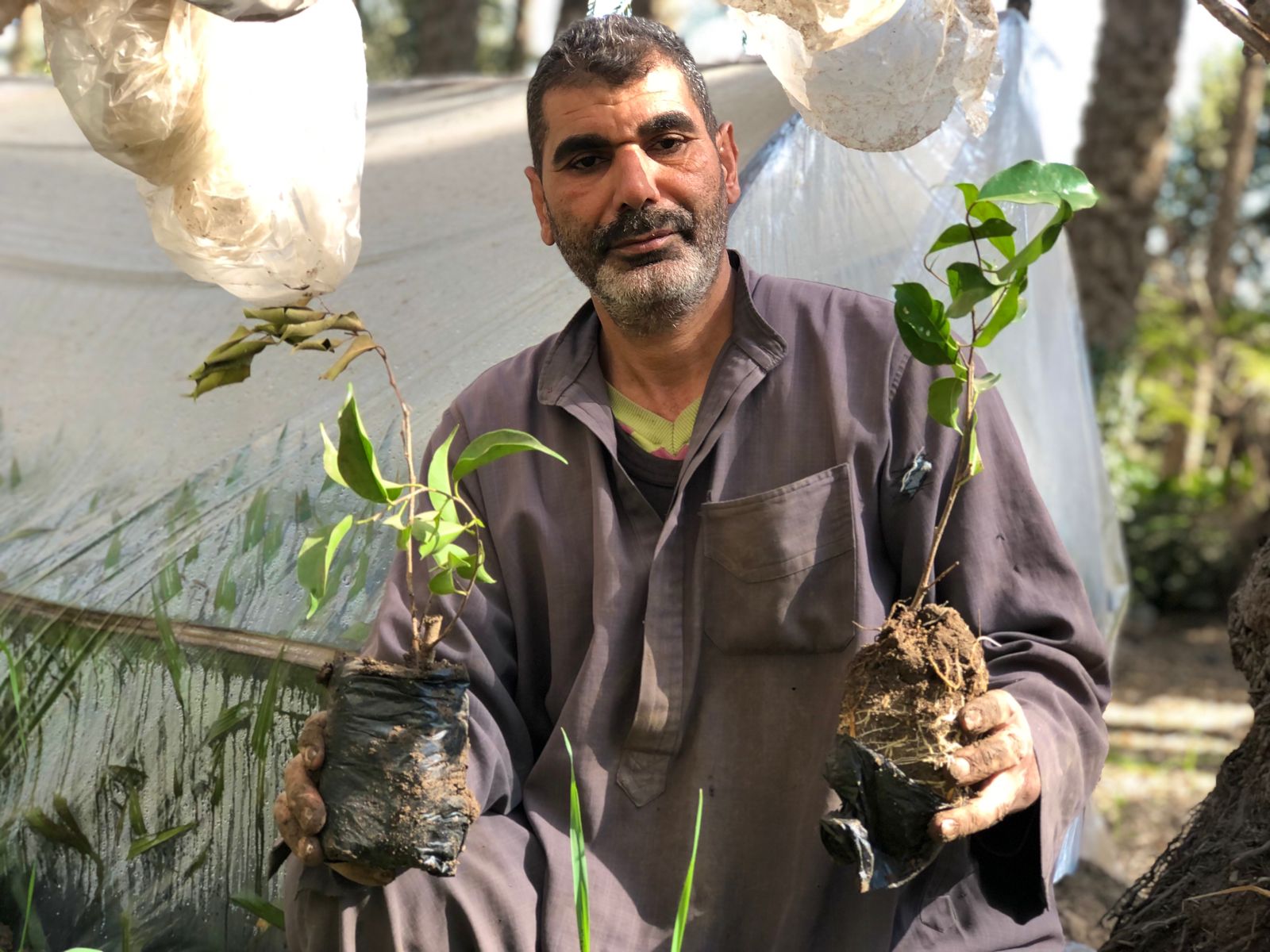 خالد أبو عرفة