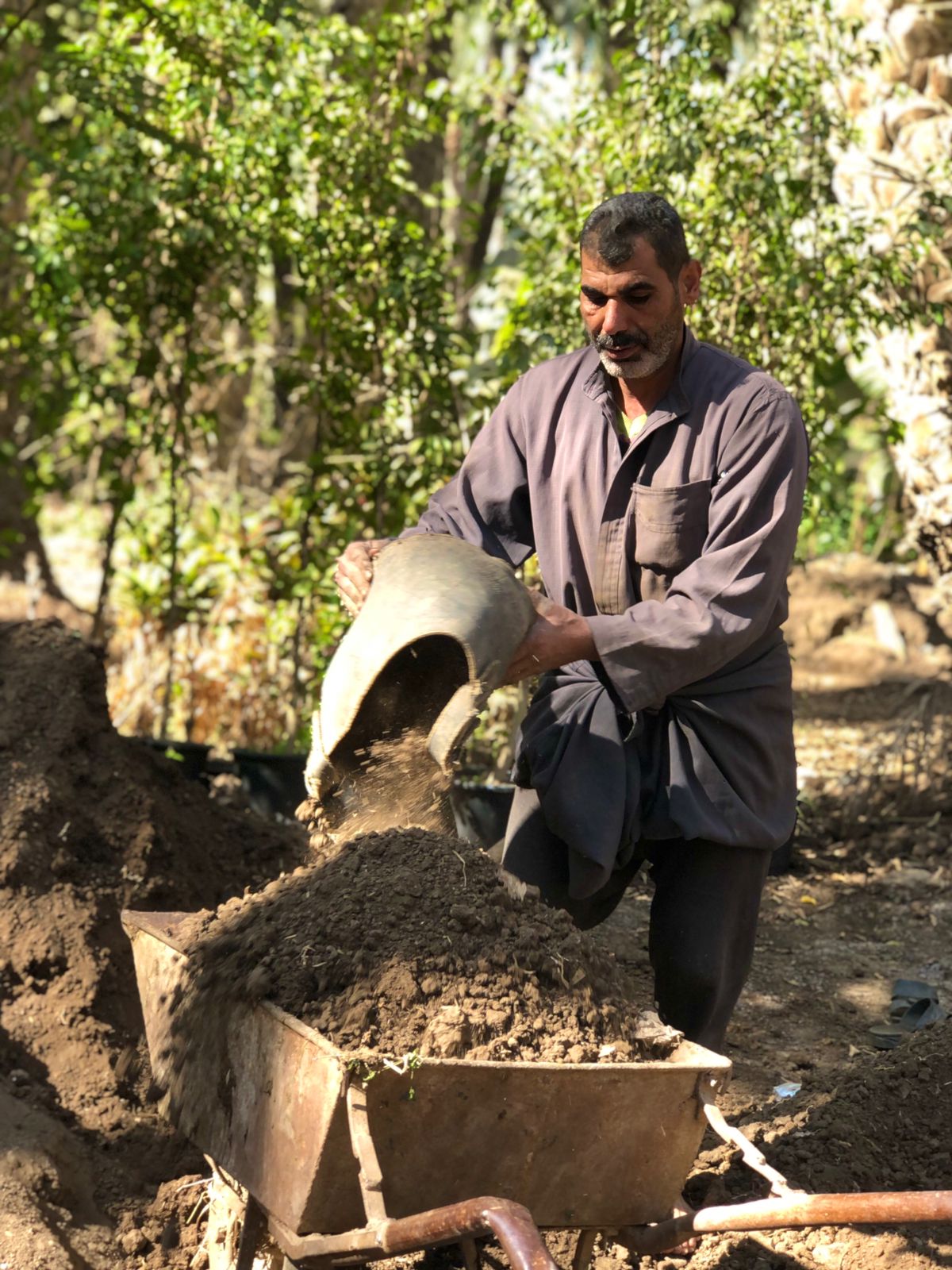 عمل الفلاح في الأرض