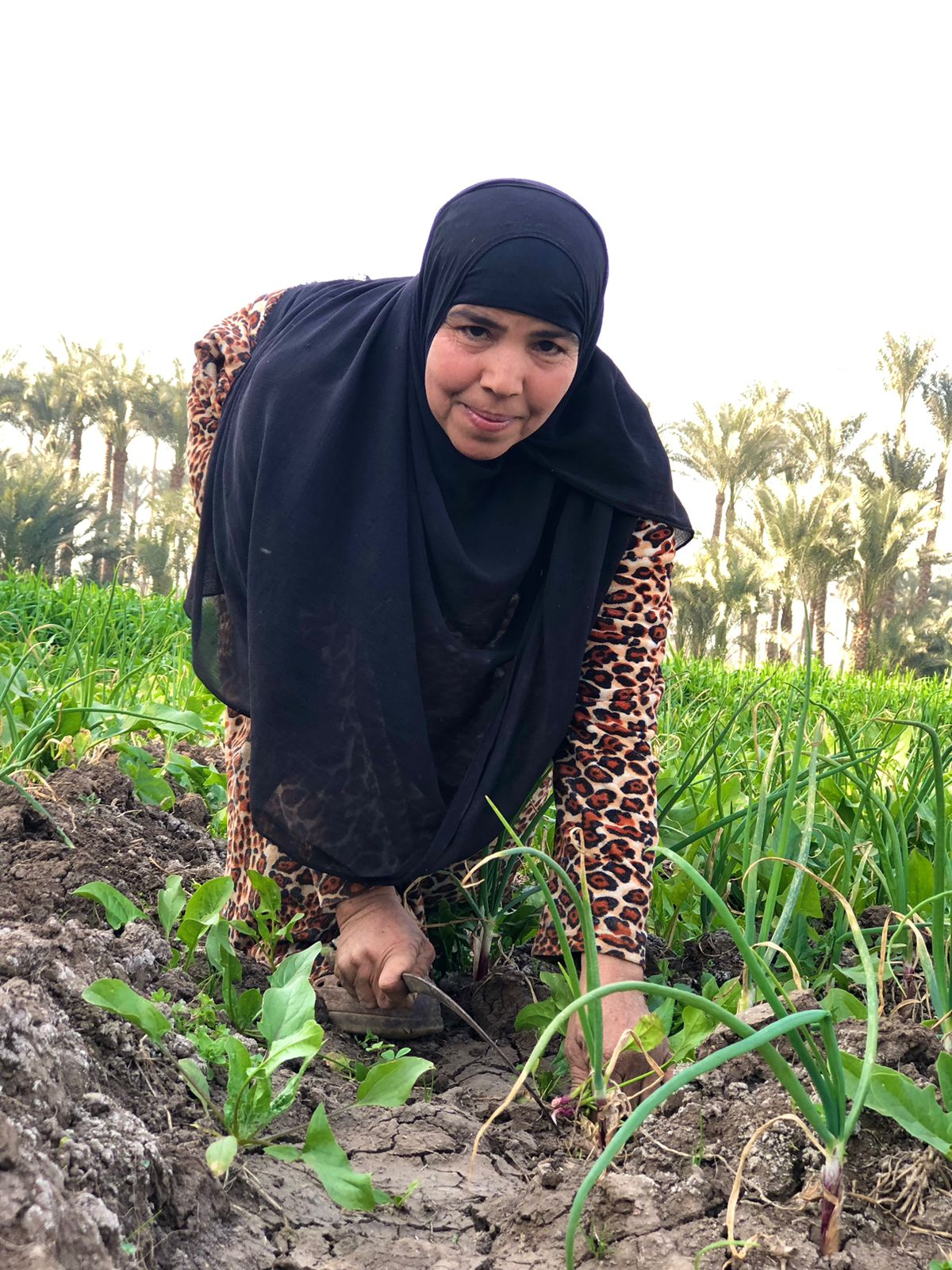 كفاح المرأة الريفية في الأرض