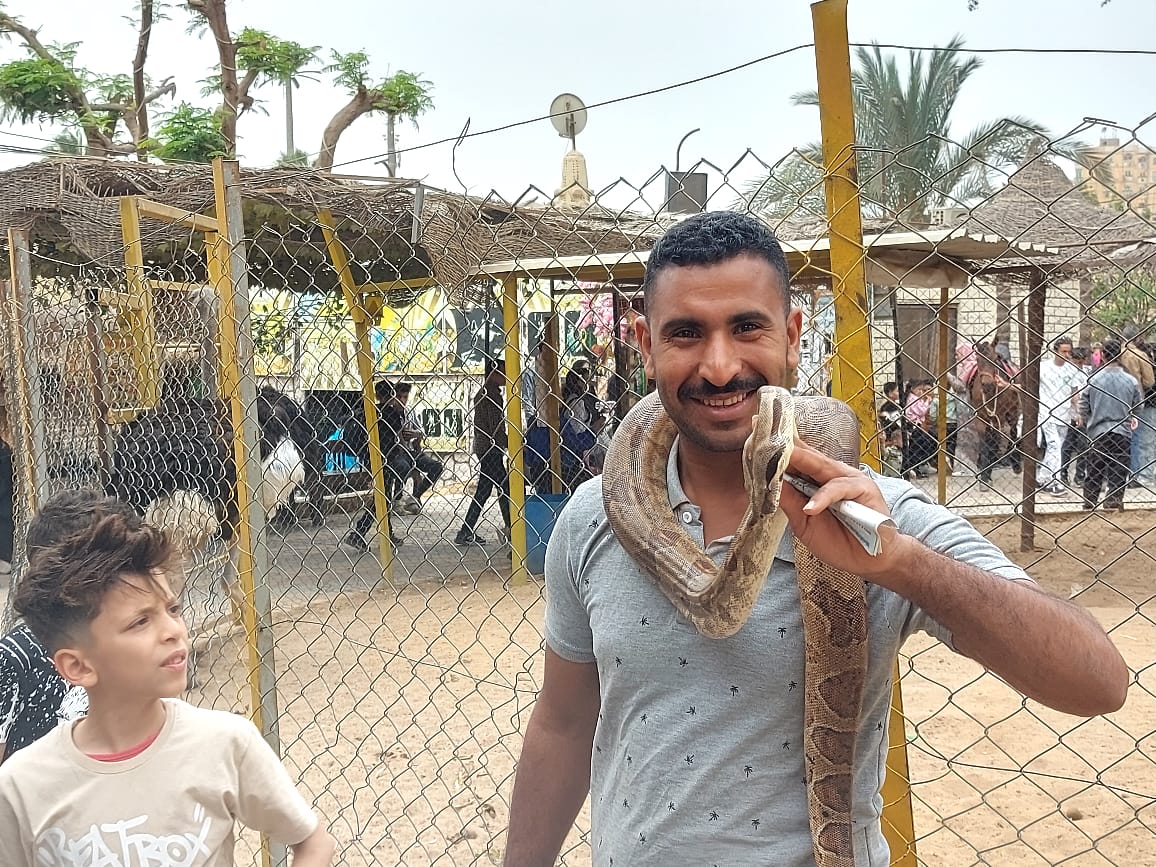 Animal Zoo within the International Backyard