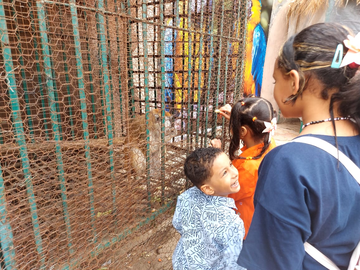 The zoo attracts younger of us