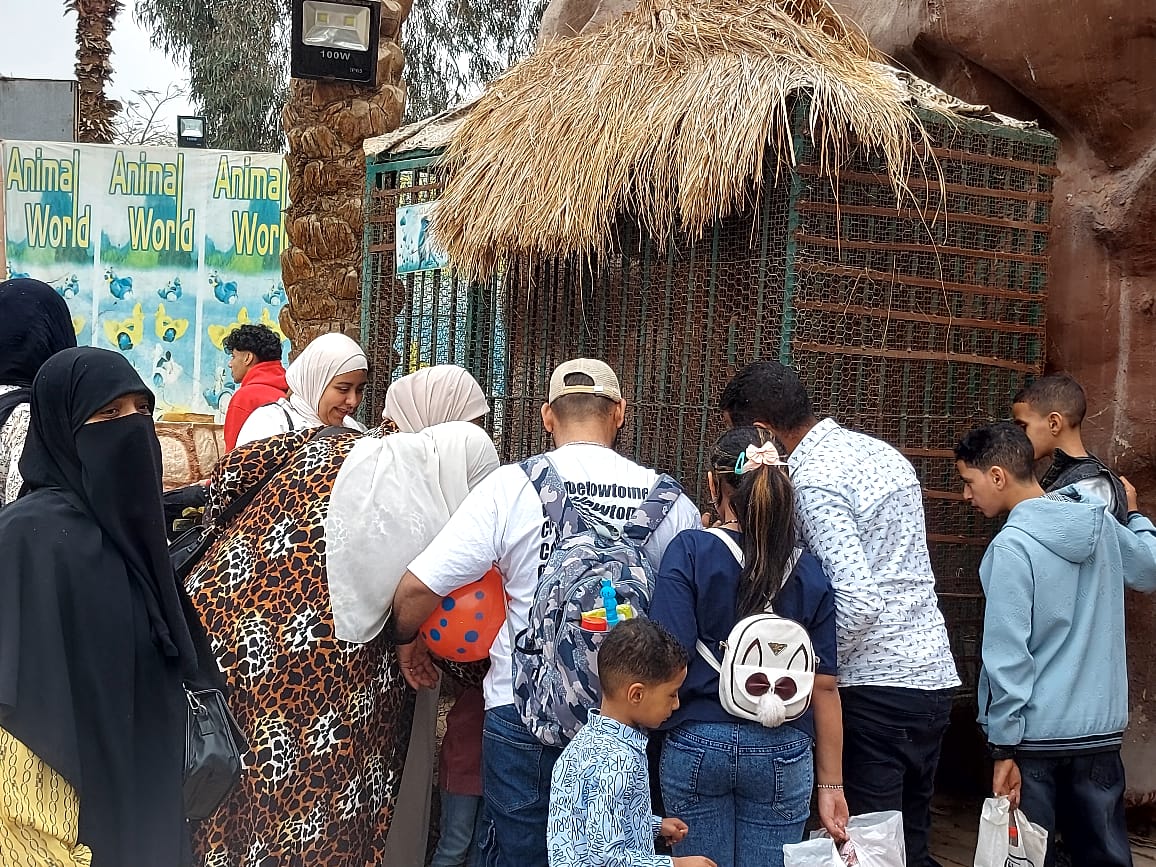 إقبال واسع على حديقة الحيوان بالحديقة الدولية في ثاني أيام العيد إقبال واسع على حديقة الحيوان بالحديقة الدولية في ثاني أيام العيد