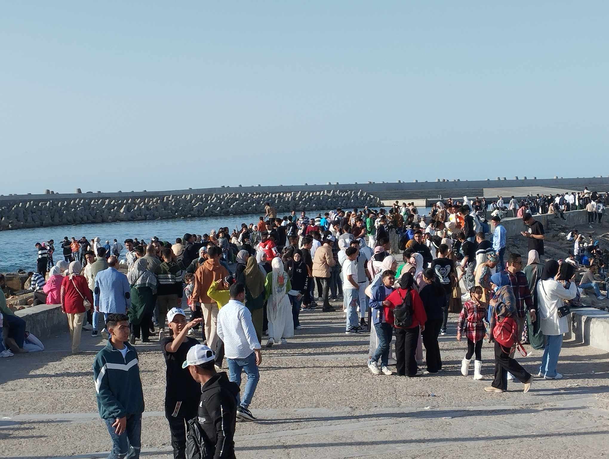 اعداد كبيرة من المواطنين في الإسكندرية اعداد كبيرة من المواطنين في الإسكندرية