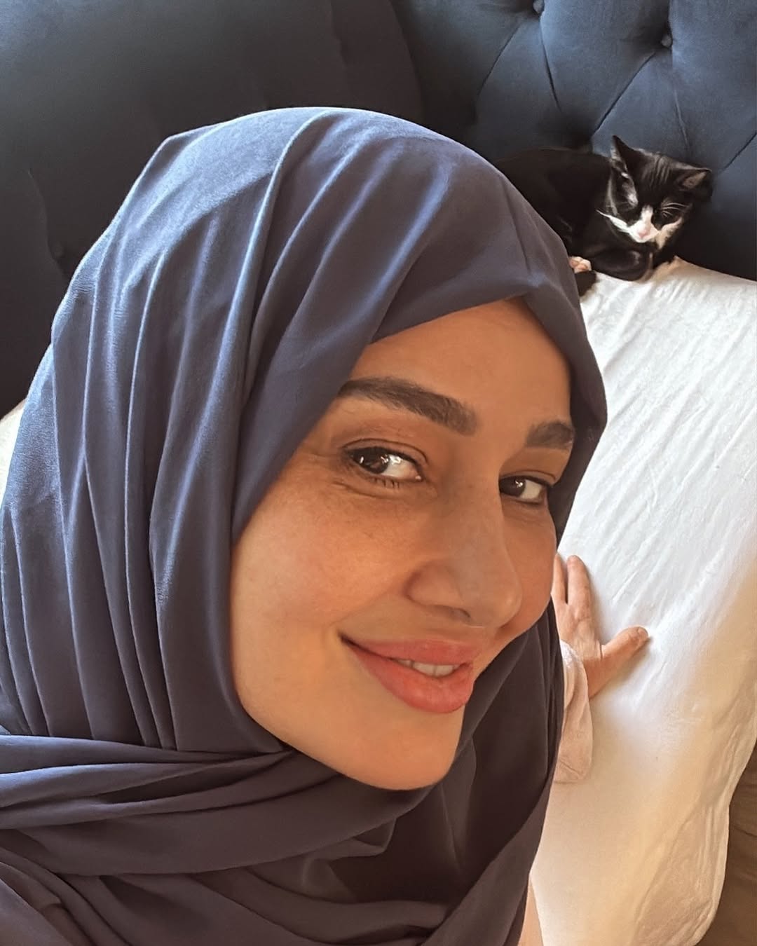 حلا شيحة حلا شيحة