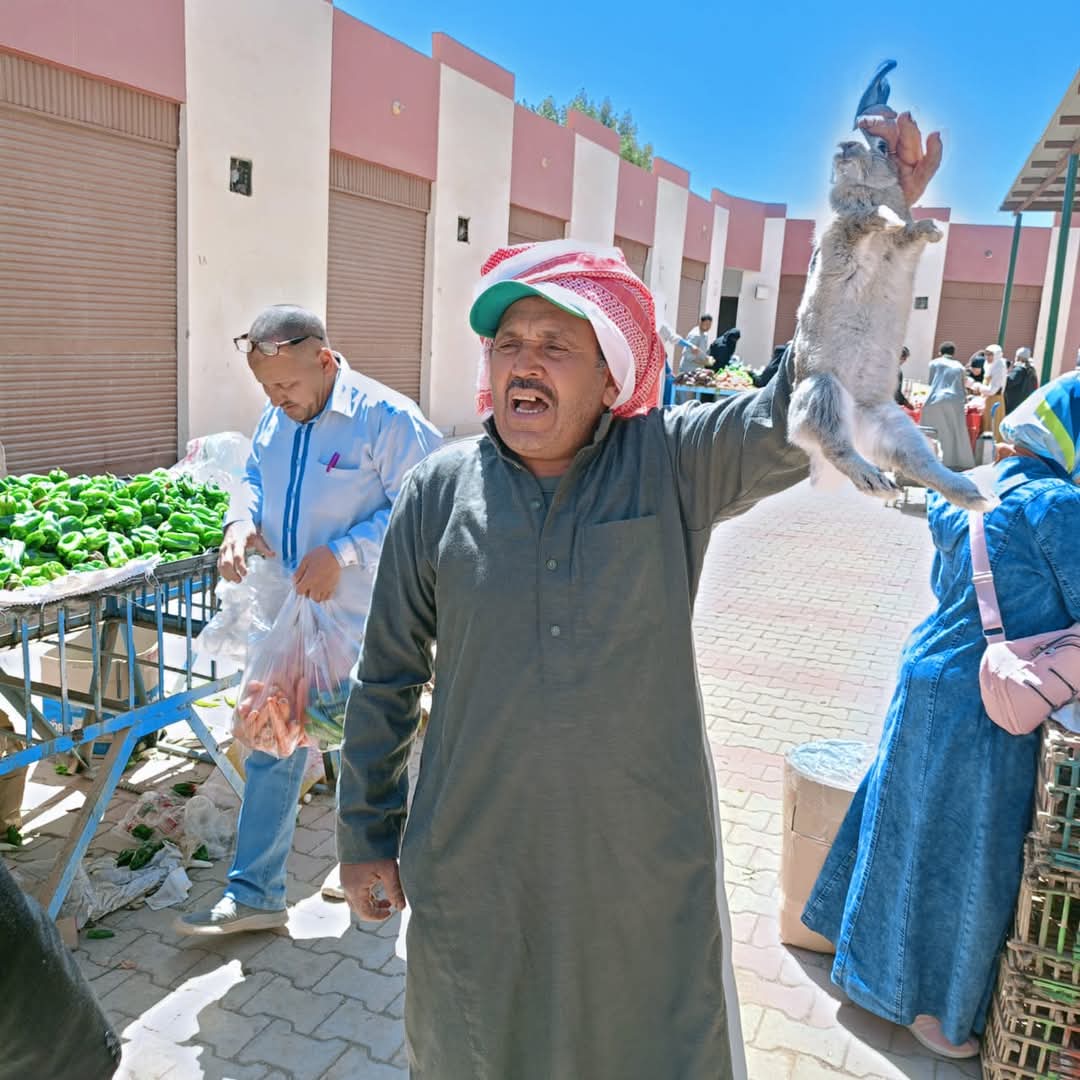 بيع الأرانب فى سوق القرية بيع الأرانب فى سوق القرية