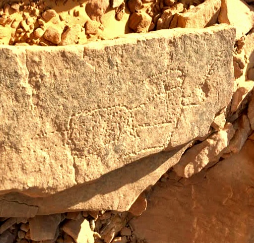 النقوش الضغوطية لانسان ما قبل التاريخ