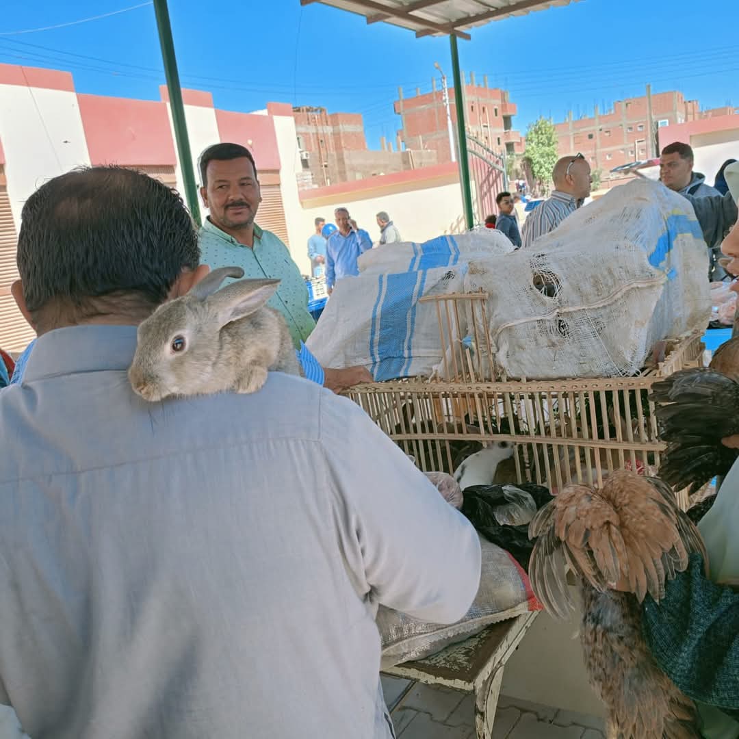 اقبال على المنتجات القروية اقبال على المنتجات القروية