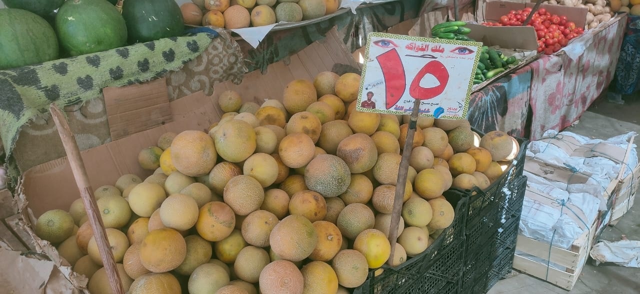 سعر الكنتالوب 15 جنيهاً للكيلو بالأقصر