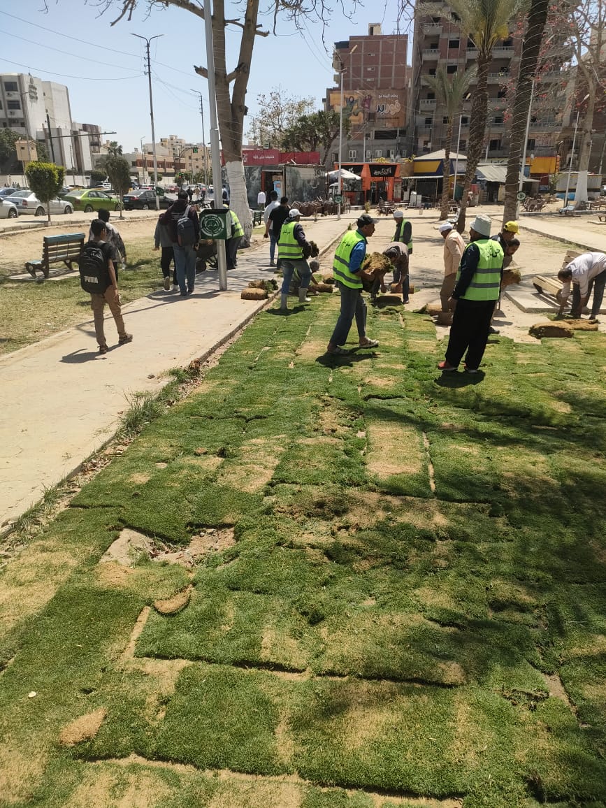 المسطحات الخضراء بحي ثانى المسطحات الخضراء بحي ثانى