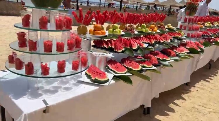 مهرجان البطيخ بمرسى علم مهرجان البطيخ بمرسى علم
