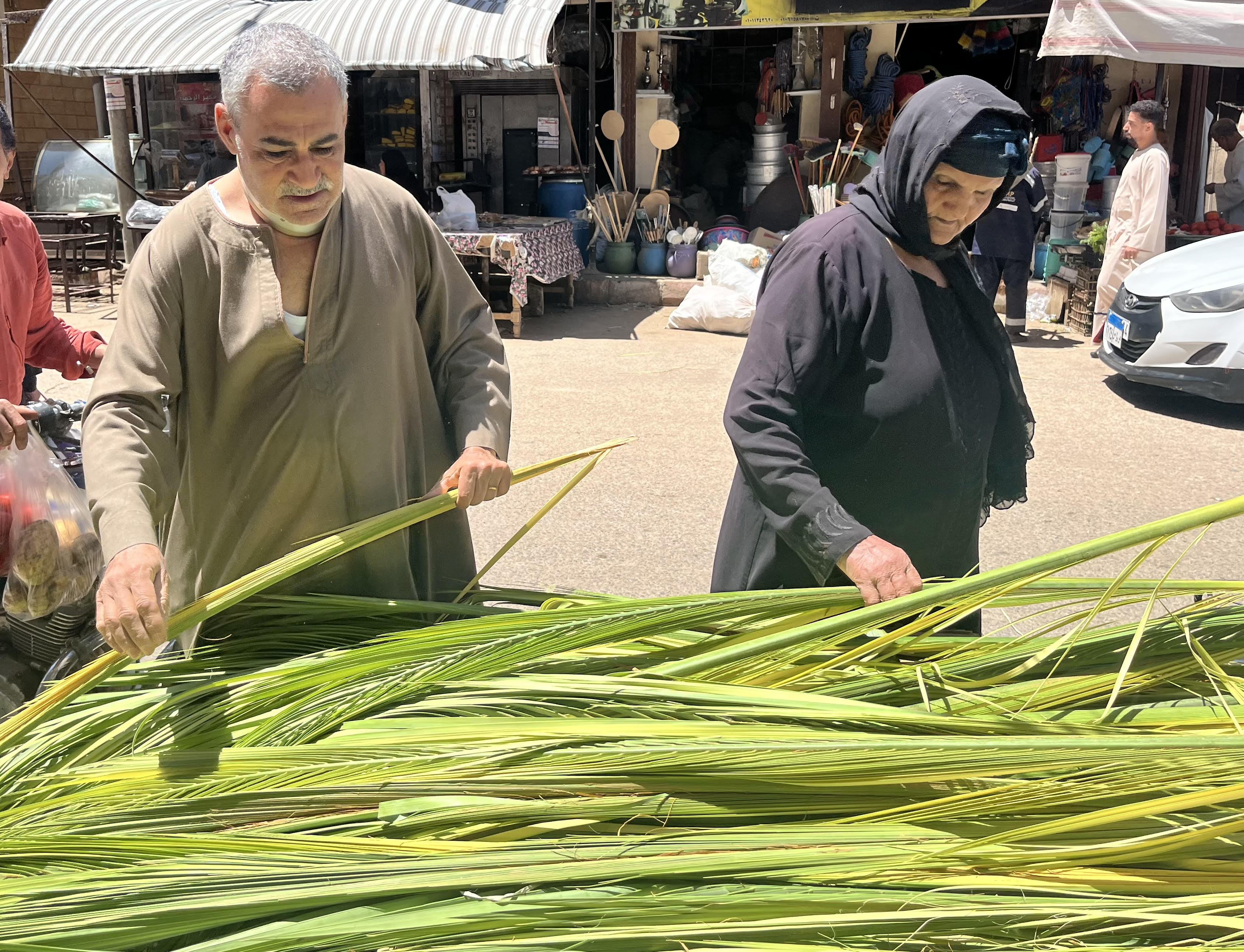 سعف النخيل فى قنا سعف النخيل فى قنا