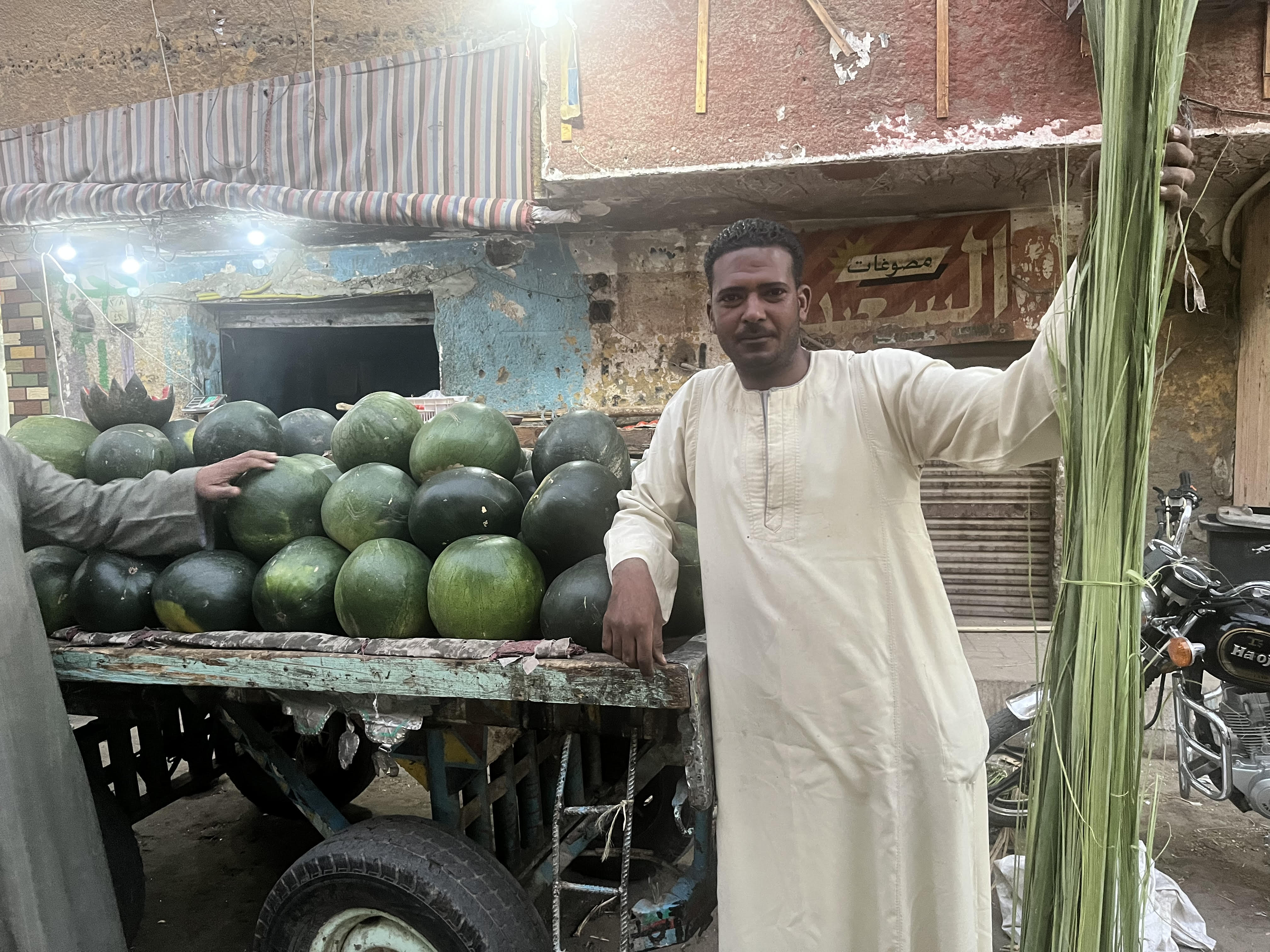 سعف النخيل فى محافظة قنا سعف النخيل فى محافظة قنا