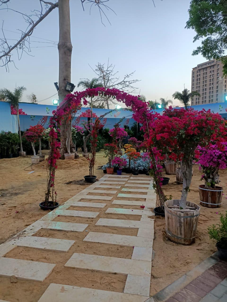 معرض زهور الربيع قبل الافتتاح (1)