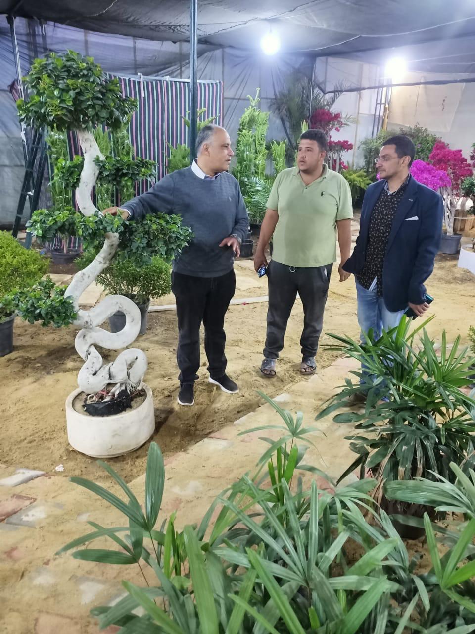 تجهيز معرض زهور الربيع