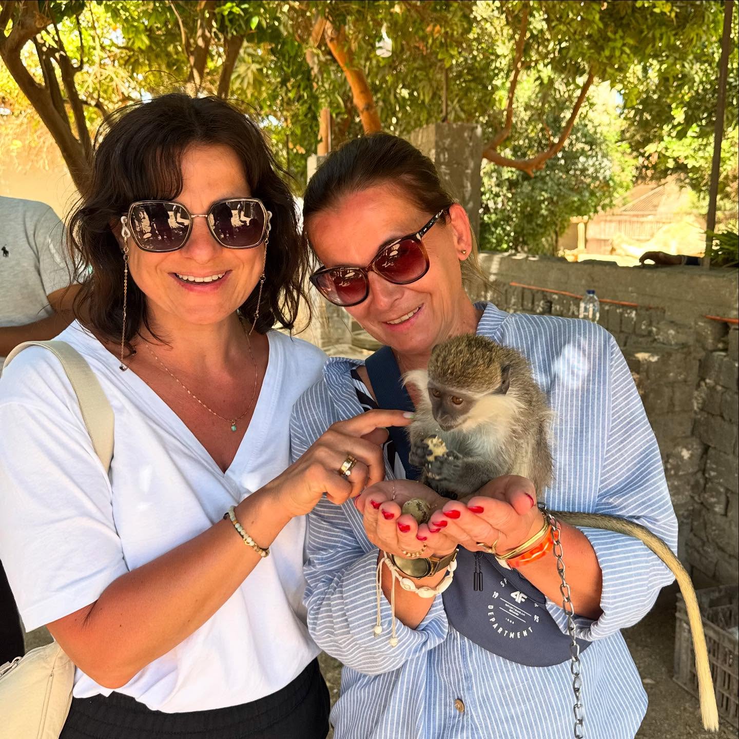 جزيرة الموز متنفس بديع للسياح باللهو بين الحيوانات بعد زيارات المعابد